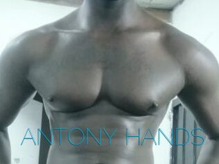 ANTONY_HANDS