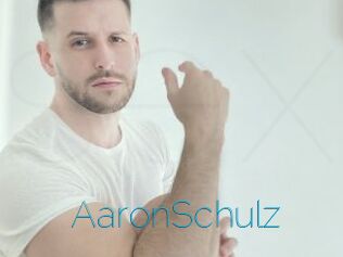 AaronSchulz