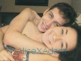 Alice_X_Adam