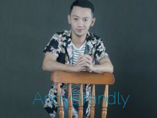AndyBrandly