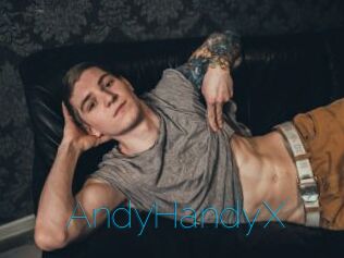 AndyHandyX