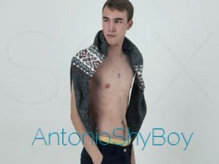 AntonioShyBoy