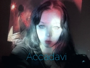 Accadavi