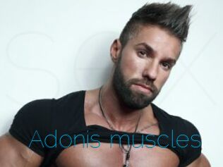 Adonis_muscles
