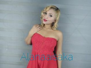 Alanaaisaka