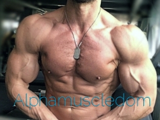 Alphamuscledom