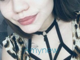 Amynew