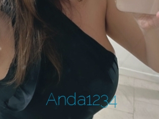 Anda1234