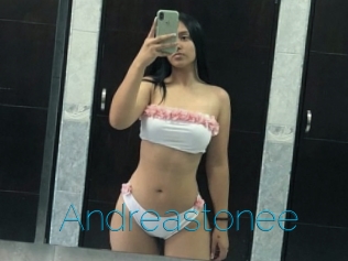 Andreastonee
