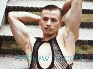 Andrew_falcon