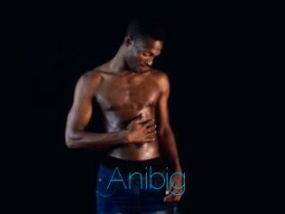 Anibig