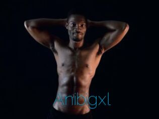 Anibigxl