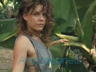 Aniccaspinelli