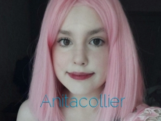 Anitacollier