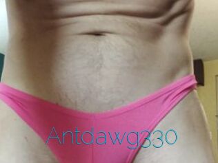 Antdawg330
