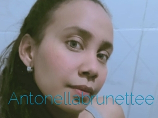 Antonellabrunettee