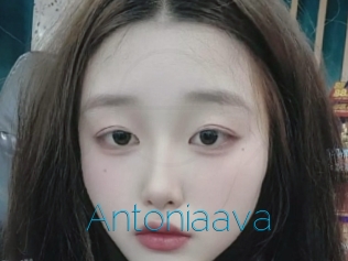 Antoniaava