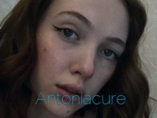 Antoniacure