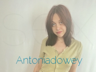 Antoniadowey