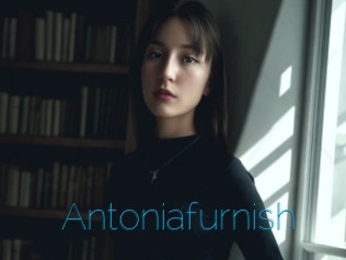 Antoniafurnish