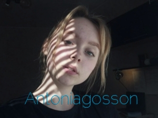 Antoniagosson
