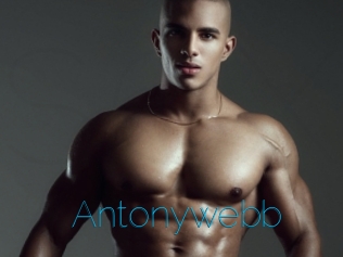 Antonywebb