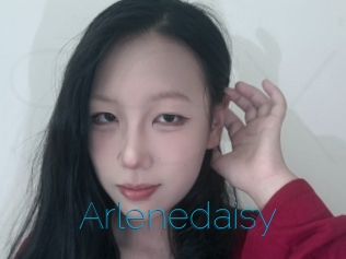 Arlenedaisy