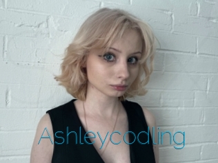 Ashleycodling