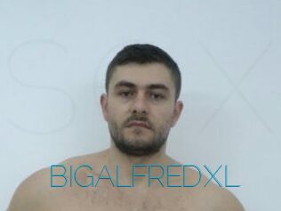 BIGALFREDXL