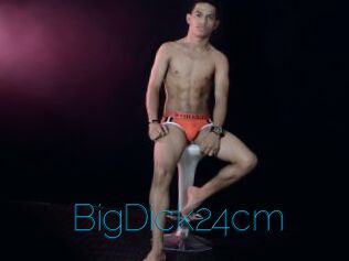 BigDick24cm