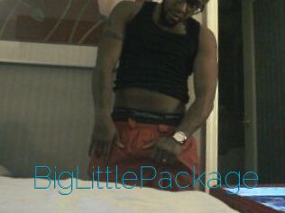 BigLittlePackage