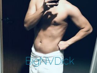 BigNVDick