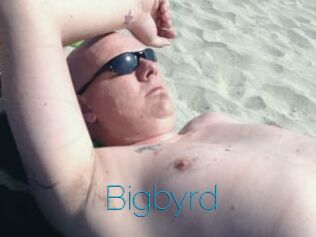 Bigbyrd