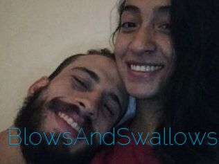 BlowsAndSwallows