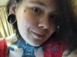 Buzzy_Cat