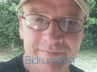 Bidrum209