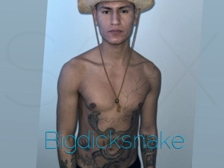 Bigdicksnake