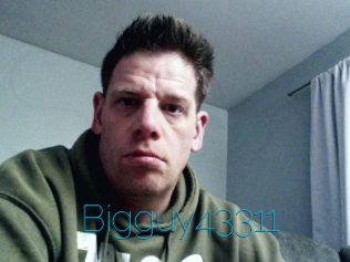 Bigguy43311