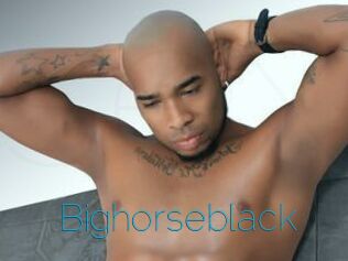 Bighorseblack