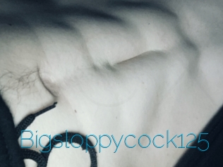 Bigsloppycock125