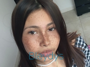 Bleydys