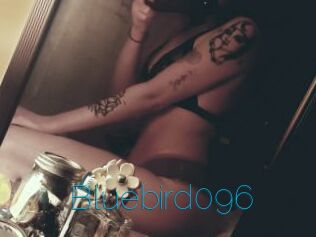 Bluebird096