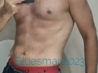 bluesman2023 Sexe Aventure