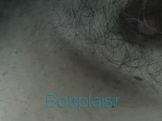 Bobplaisir