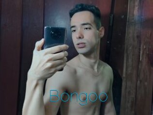 Bongoo