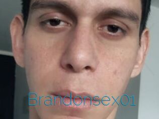 Brandonsex01