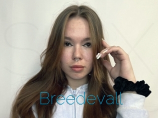 Breedevall