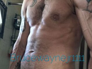 Brucewaynejr1111