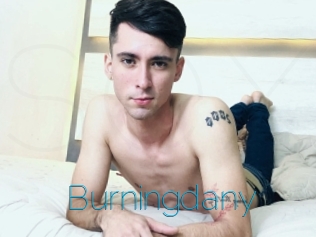 Burningdany