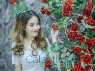 Calanthas